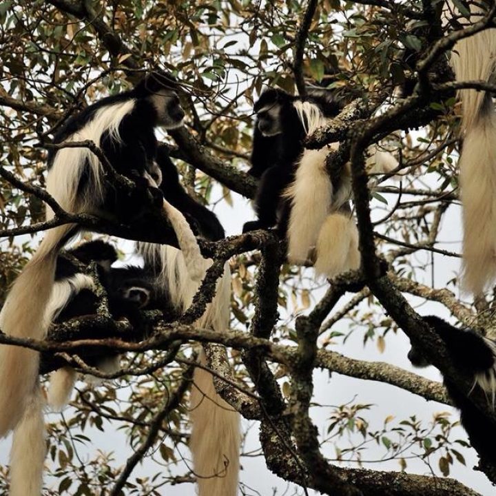 6 Days Luxury In Wilderness