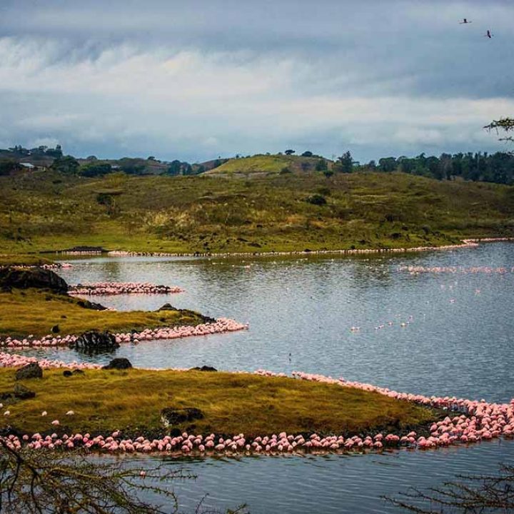 7 Days Tanzania Lodging Safari