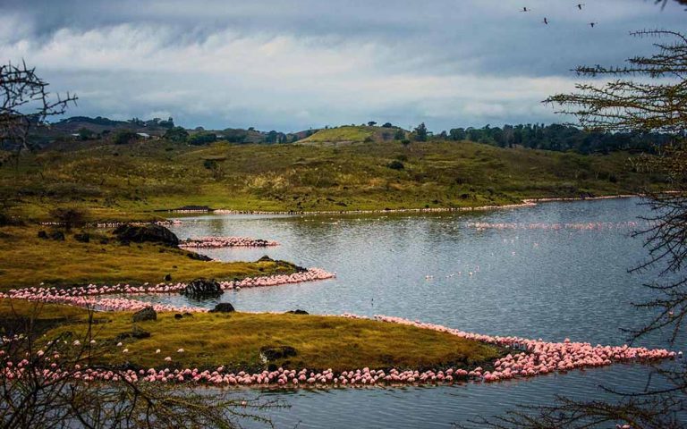 7 Days Tanzania Lodging Safari