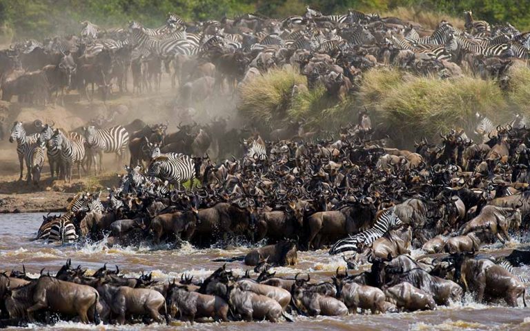 10 Days The Biggest Migrations Safari Tanzania