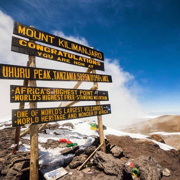 18 days Kilimanjaro Wildlife Safari & Zanzibar Beach