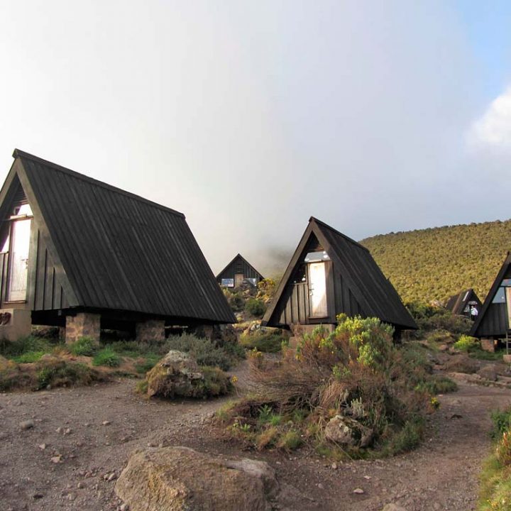 6 Days Mountain Climbing & 2 Days Leisure In Zanzibar