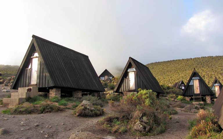 6 Days Mountain Climbing & 2 Days Leisure In Zanzibar