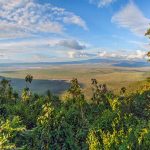 4 Day Africa Majestic Safari