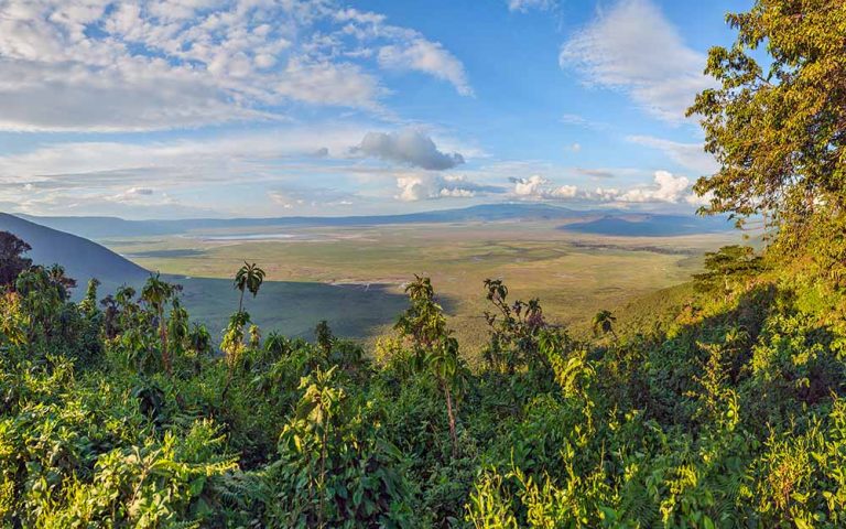 4 Day Africa Majestic Safari