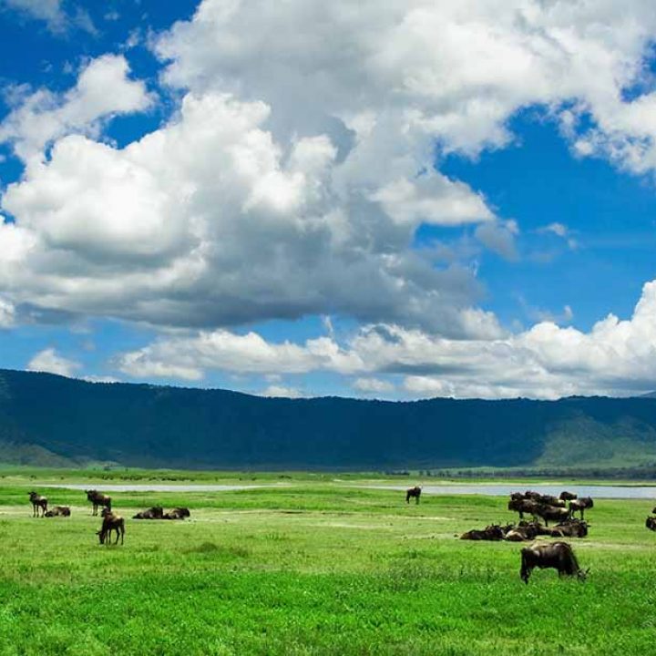 8 Days Tanzania – Zanzibar Safari