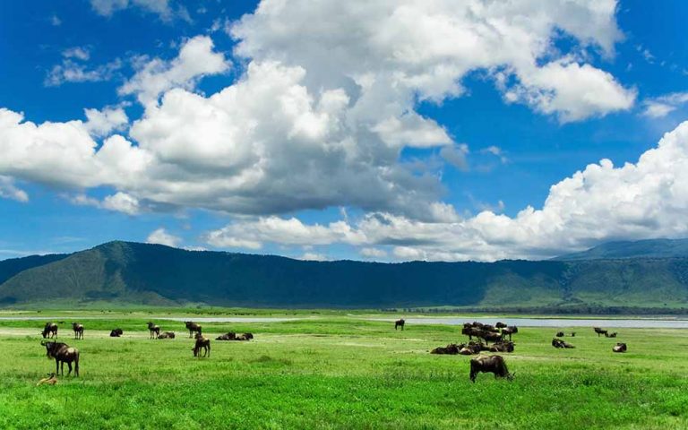 8 Days Tanzania – Zanzibar Safari