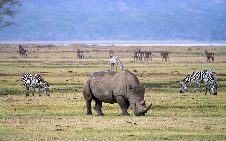 3 Days Tanzania Safari
